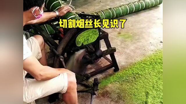 原来烟丝是这样切割的,真的长见识了.搞笑配音搞笑视频