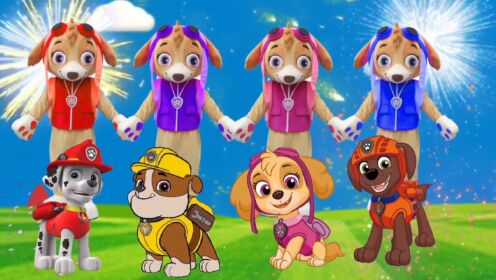 汪汪队天天找到妈妈了吗？启蒙早教儿童益智动画