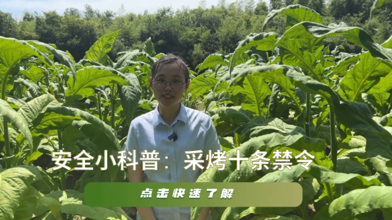 安全小科普:采烤十项禁令