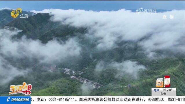 邹平鹤伴山现云海奇观,云雾缭绕山峦若隐若现,宛如人间仙境