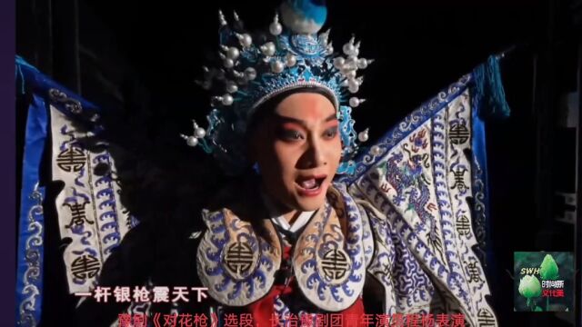 豫剧《对花枪》选段,长治豫剧团青年演员程杨表演