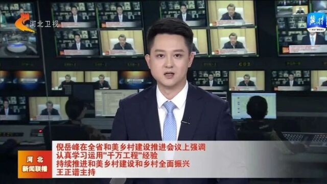 河北省和美乡村建设推进会议在石家庄召开