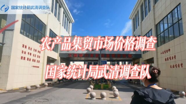 武清调查队农产品集贸市场价格调查