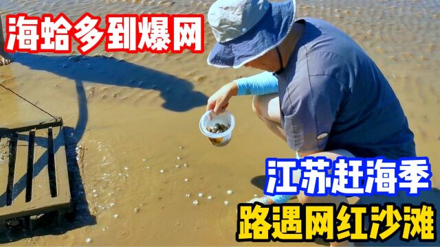 江苏赶海好地方,免费停车不收门票,空桶来满桶归