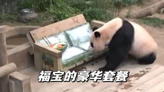 福宝的豪华套餐