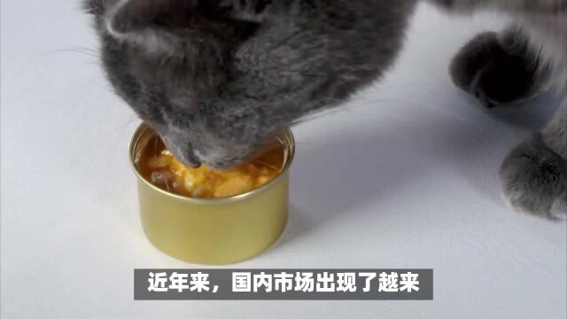 猫咪的健康不能忽视,这5款猫罐头最适合宠物!