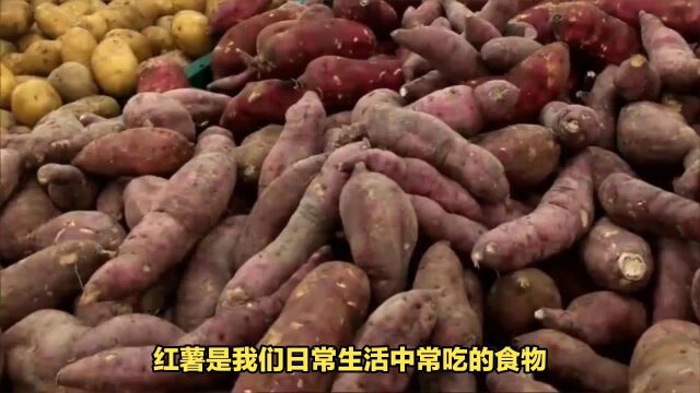 四种食物千万不要和红薯一起吃