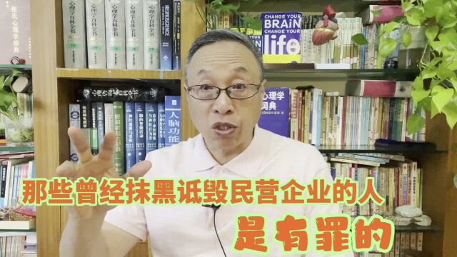 那些曾经抹黑和攻击民营企业的人都有着险恶的用心与机会主义心态