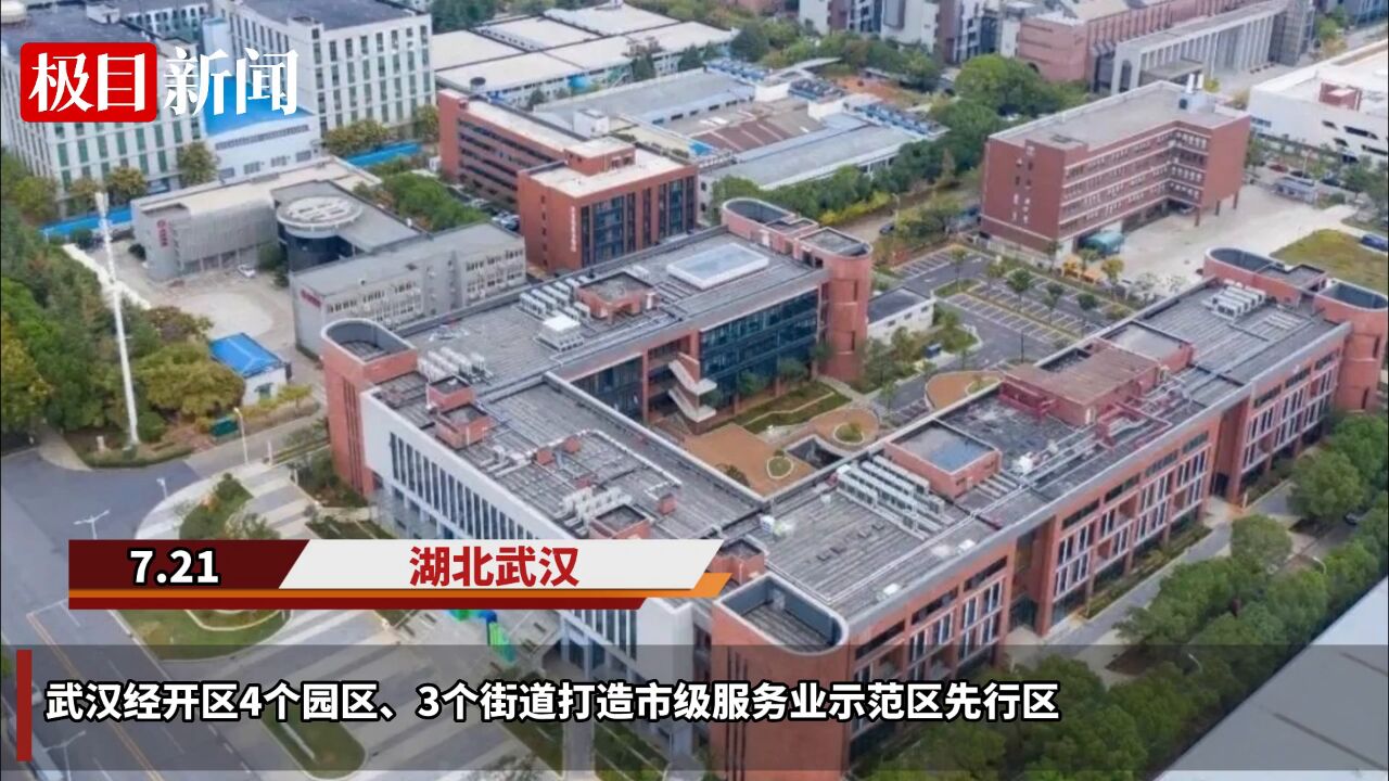 【视频】武汉经开区4个园区、3个街道打造市级服务业示范区先行区