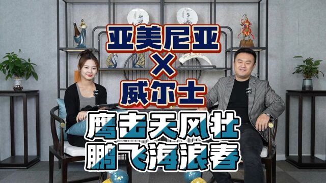 欧预赛:亚美尼亚VS威尔士,鹰击天风壮,鹏飞海浪春