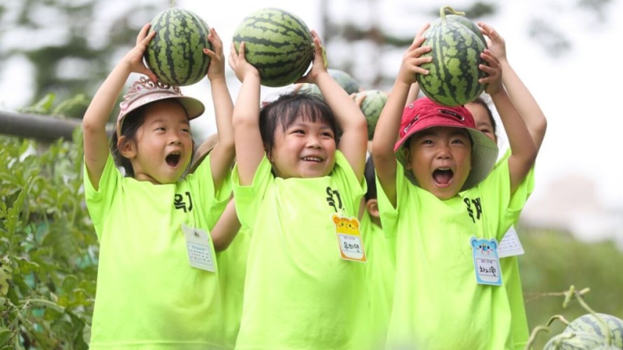 吃瓜不如去摘瓜!夏天一定要去田里感受一下摘瓜的快乐