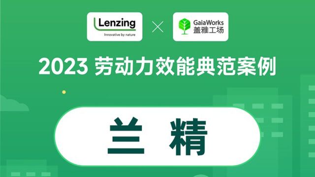 2023劳动力效能典范案例——兰精