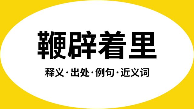 “鞭辟着里”是什么意思?