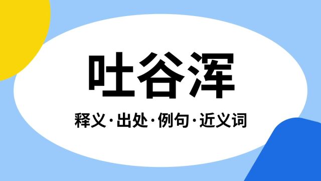 “吐谷浑”是什么意思?