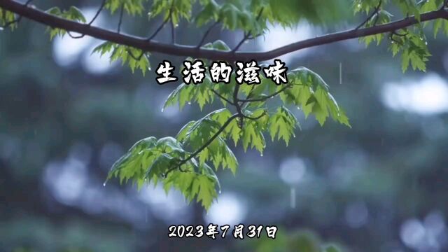 2023年7月31日生活的滋味