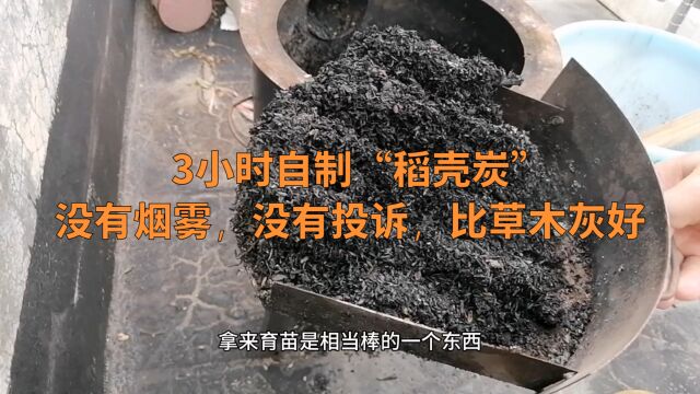 稻壳炭不用买?自制很简单,比草木灰好