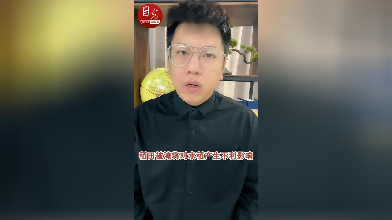 目光:农户网上求助“摇”来农业专家,这才是互联网的意义