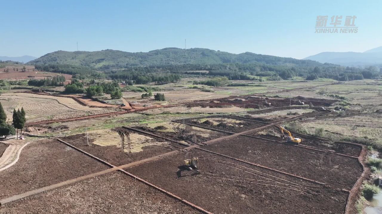 湖南蓝山:抢抓冬闲 全力推进高标准农田建设