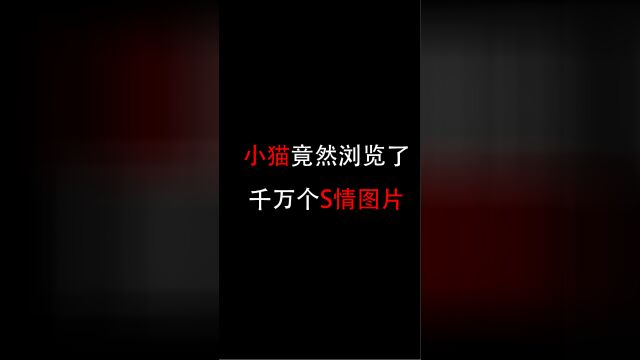 你敢相信吗?这只小猫会浏览S情图片?丨拒绝废话