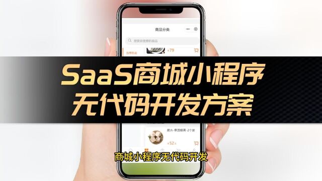 探索SaaS商城小程序解决方案,为新零售业务带来更多机会与成功