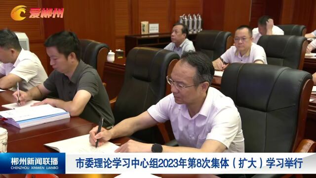 市委理论学习中心组2023年第8次集体(扩大)学习举行