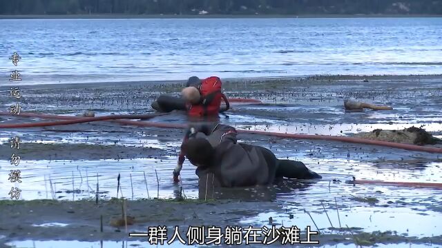 职业捕蚌人,一天收获几十筐极品象拔蚌