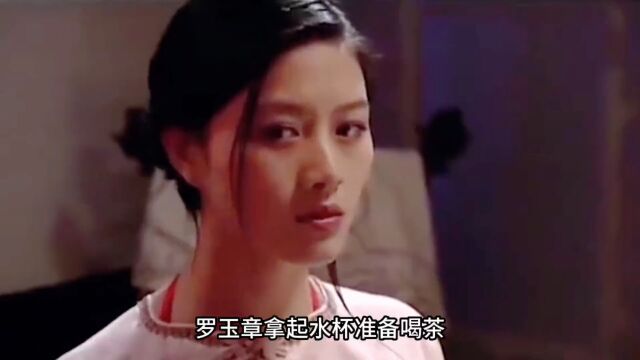 罗玉章上美女家当保安,结果美女却遭殃了