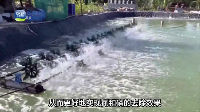 污水处理需新思路,解决氮磷超标问题