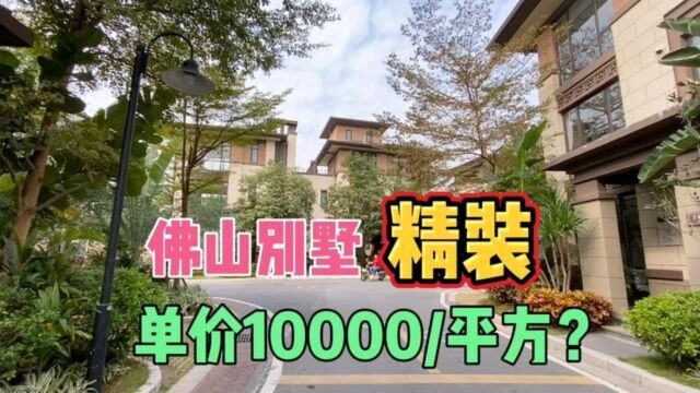 佛山精装小别墅,单价仅售10000/平方?这才是房价的真相.#佛山别墅