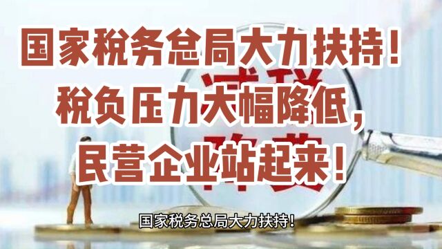 国家税务总局大力扶持!税负压力大幅降低,民营企业站起来!