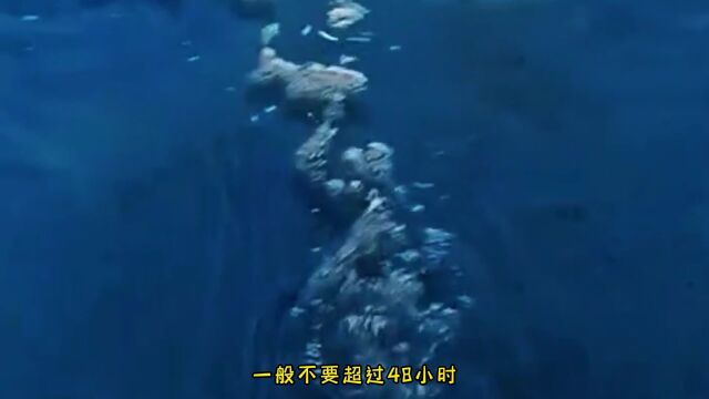 卫生间施工的正确流程,可以确保万无一“湿”!