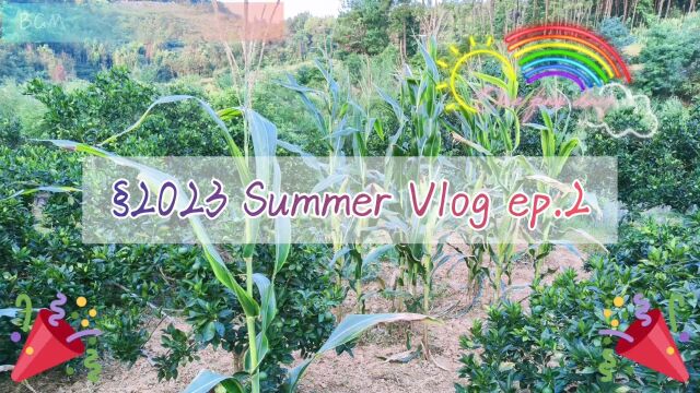 ⧲023 Summer Vlog ep.2——橘子树抹芽