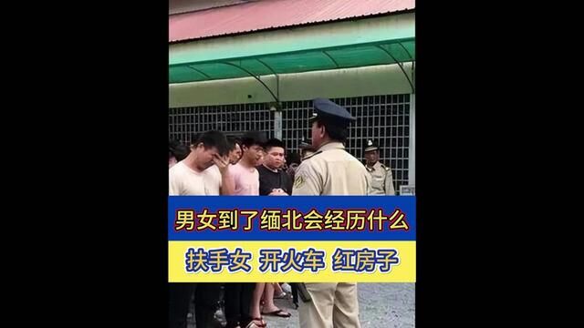 男女被骗到缅北都会经历什么?扶手女开火车红房子……#缅北 #缅北不是天堂 #缅甸 #缅甸北部 #反诈