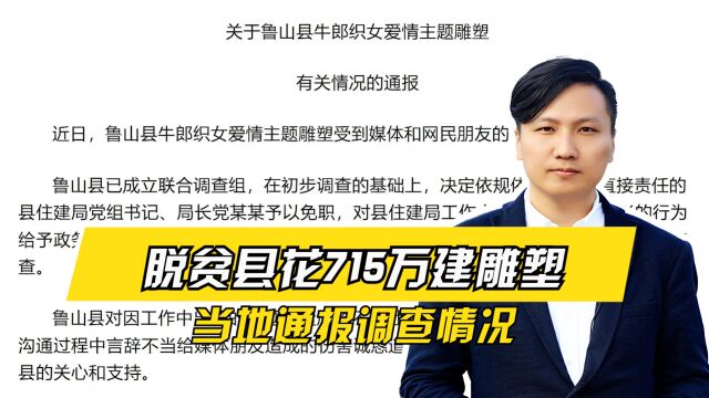 鲁山花715万建雕塑被质疑,记者采访遭到辱骂,当地通报调查情况