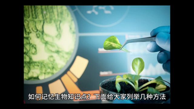 如何记忆生物知识点