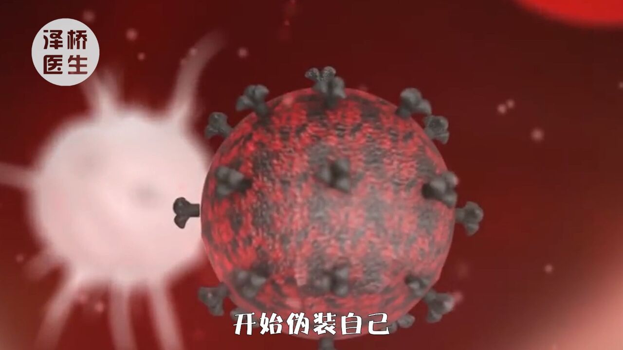 HIV真相大揭秘!你所不知道的艾滋病毒常识