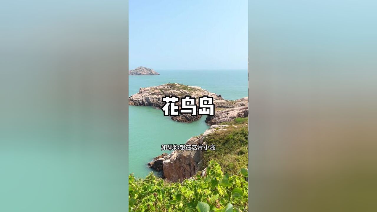 反向旅游第10站——浙江舟山花鸟岛.被国家地理推荐的小众海岛到底有多绝!