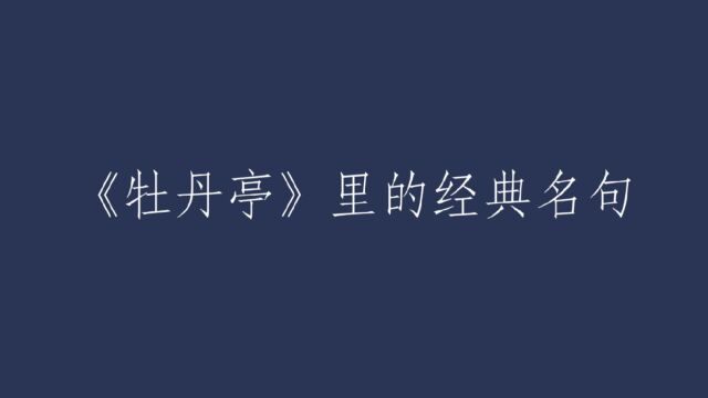 不到园林,怎知春色几许?