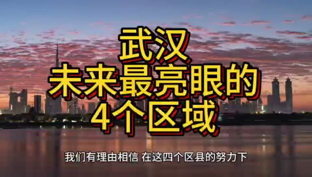 武汉将来更吃香的区域,这4个地方呼声最高,在当地脱颖而出!