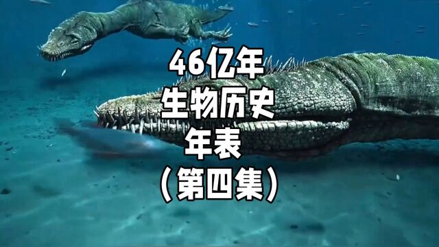 详细讲解46亿年生物历史年表(四)