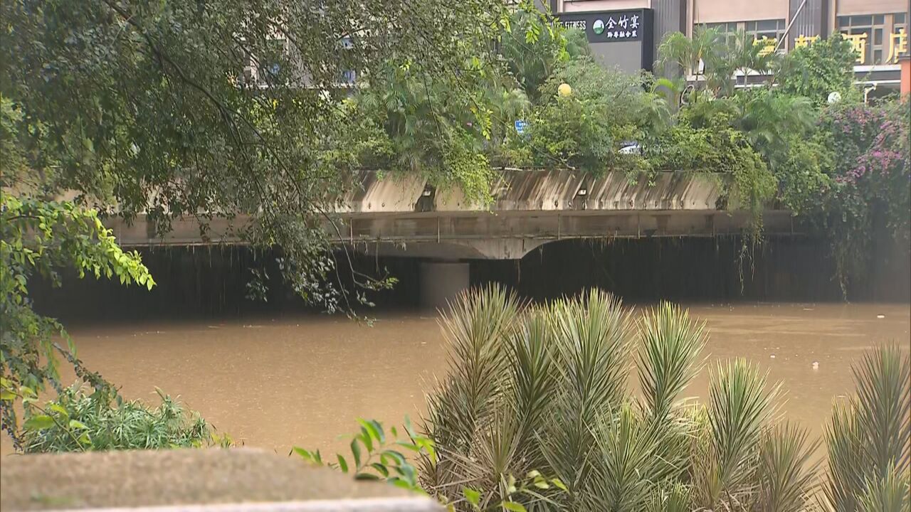 深圳降为暴雨黄色预警 未来几日仍有持续降雨