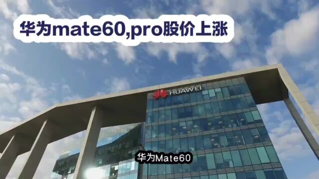 华为mate60