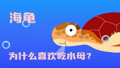 海龟为什么喜欢吃水母