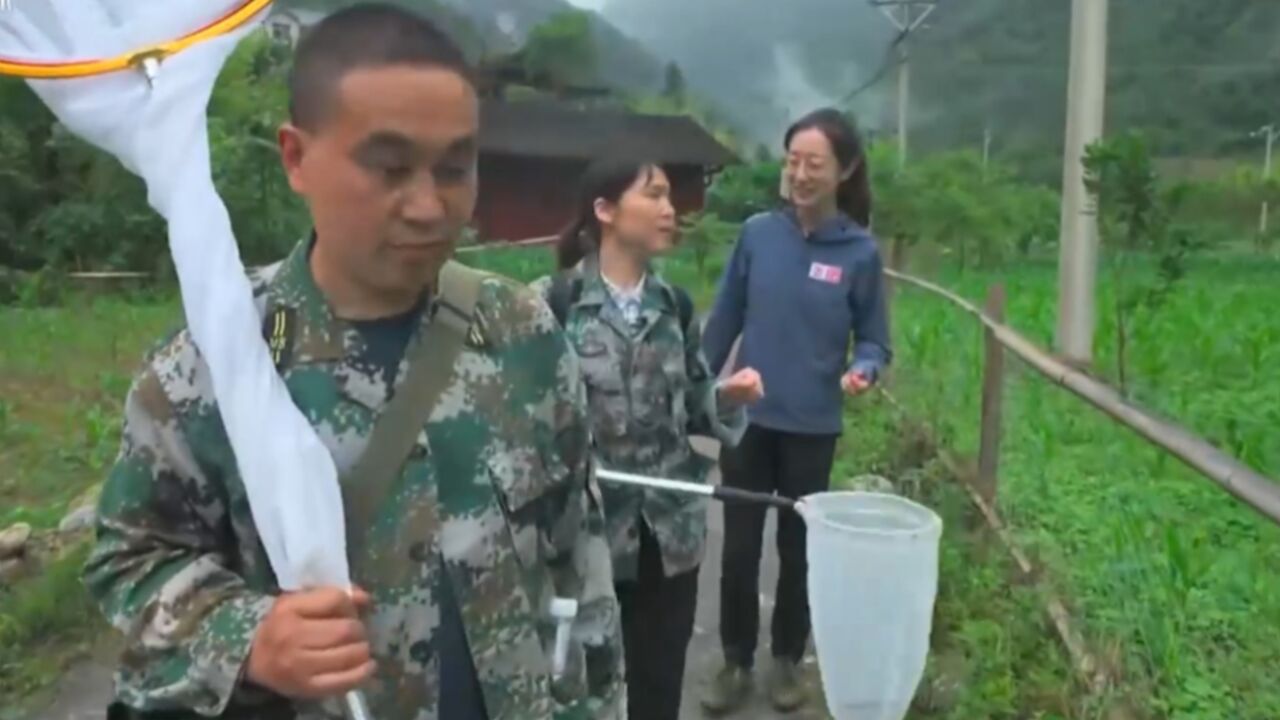 武陵山系的物种宝库,再次进山,寻找林间飞鼠