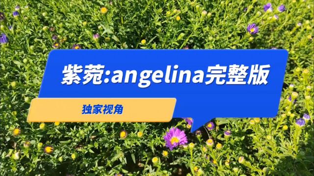 独家视角:紫菀:angelina完整版