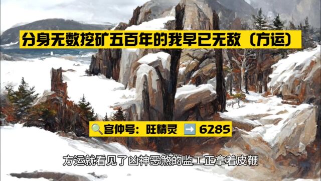 分身无数挖矿五百年的我早已无敌(方运)小说全文阅读○无删减