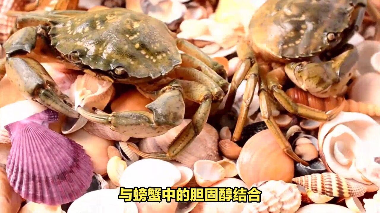 螃蟹搭配禁忌:哪些食物不宜同时食用?别没病找病,赶快告诉家人