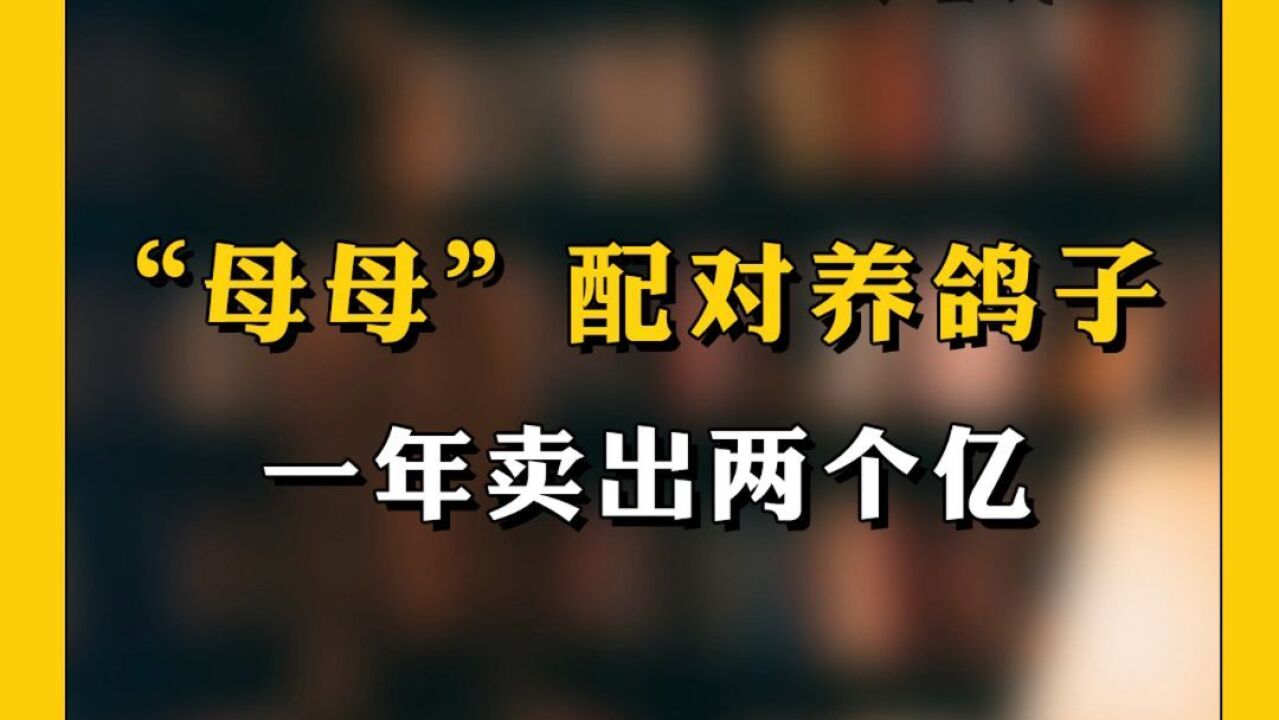 向上的力量【41】|“母母”配对养鸽子,一年卖出两个亿