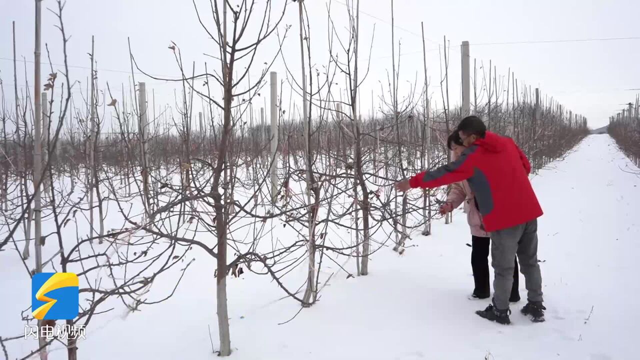 潍坊诸城:雪后农技指导 保产促丰收