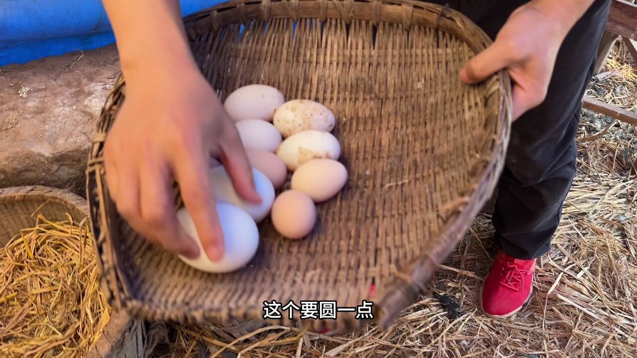 勤劳家庭五谷香,努力门户六畜旺,只要努力,遍地都有希望和收获